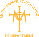 Mount Carmel High School